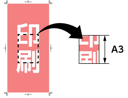 一部のみA3サイズの実寸で印刷
