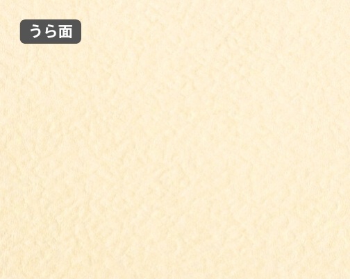 おもて面とうら面の違い