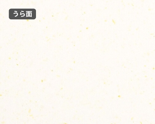 おもて面とうら面の違い