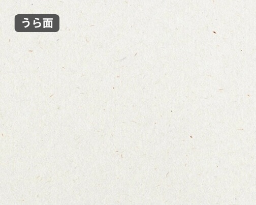おもて面とうら面の違い