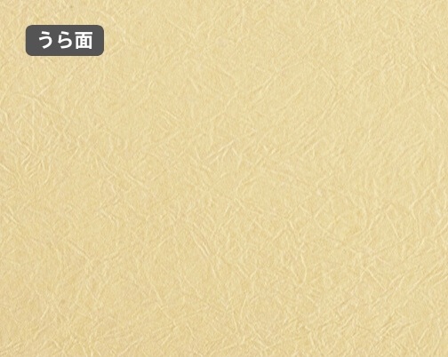 おもて面とうら面の違い
