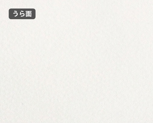おもて面とうら面の違い