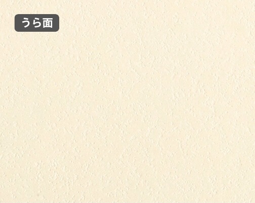 おもて面とうら面の違い