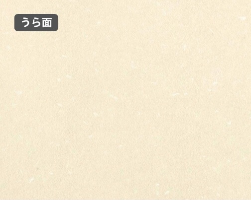 おもて面とうら面の違い