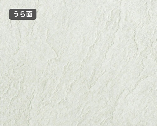 おもて面とうら面の違い