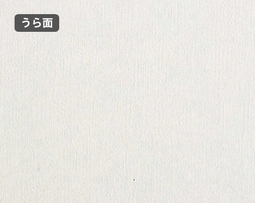 おもて面とうら面の違い