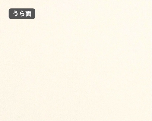 おもて面とうら面の違い