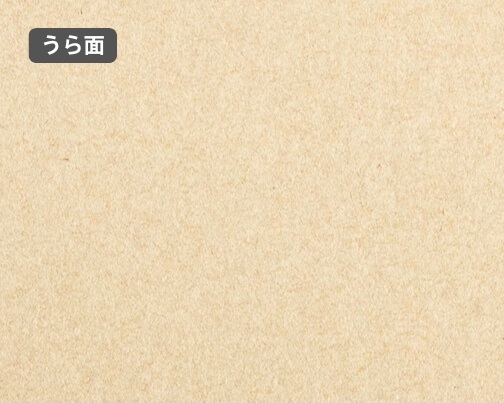 おもて面とうら面の違い