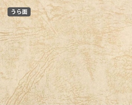 おもて面とうら面の違い