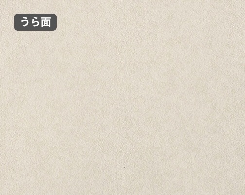 おもて面とうら面の違い