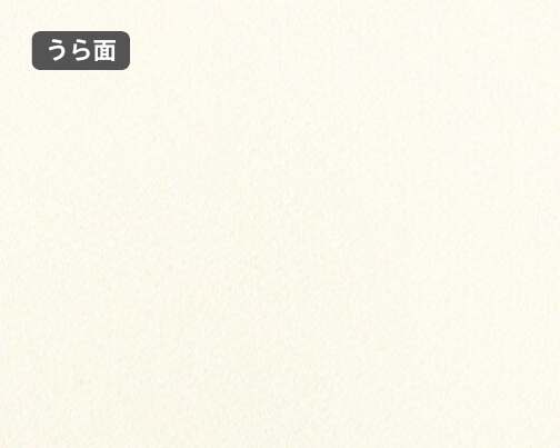おもて面とうら面の違い