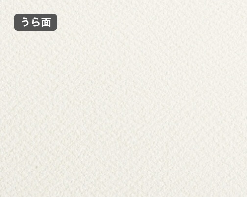 おもて面とうら面の違い