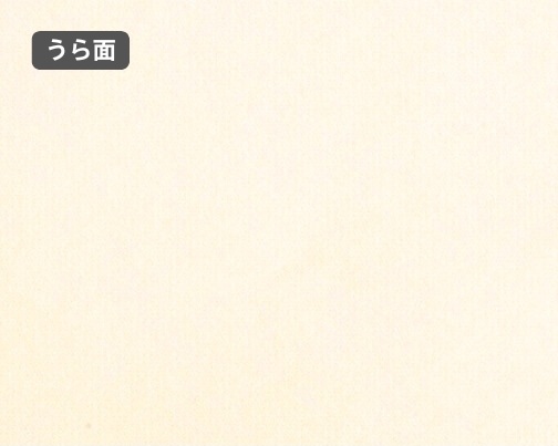 おもて面とうら面の違い