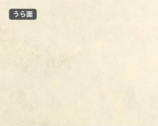 おもて面とうら面の違い