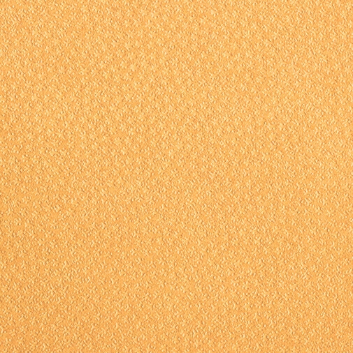 江戸小染はな｜とのこ