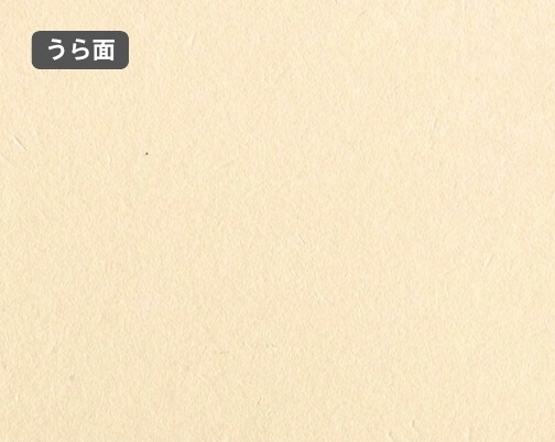 おもて面とうら面の違い